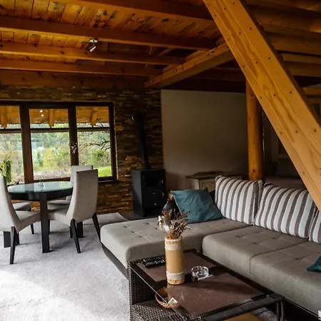 Holiday home Dedin Drinski Dom *