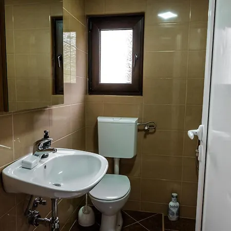 Holiday home Dedin Drinski Dom *