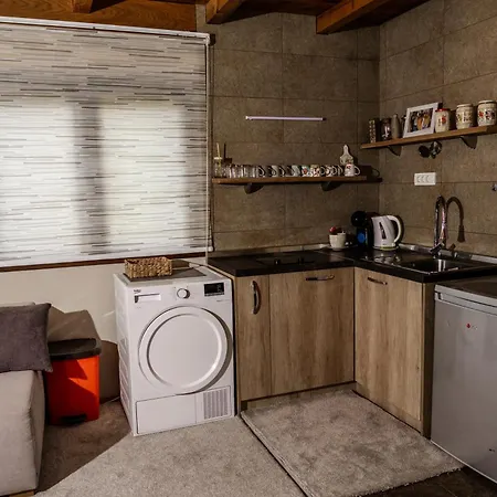 Holiday home Dedin Drinski Dom