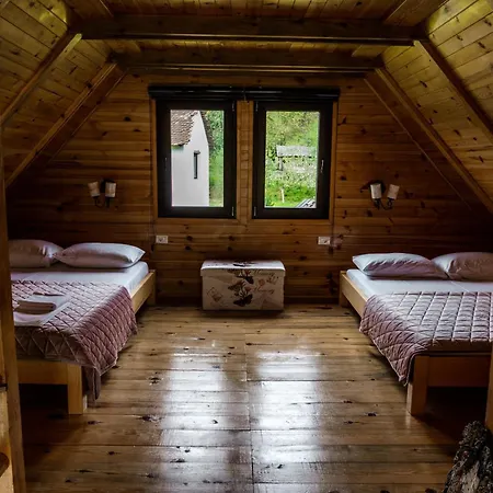 Holiday home Dedin Drinski Dom