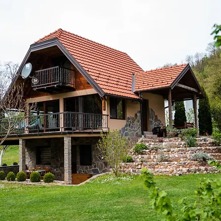 Holiday home Dedin Drinski Dom