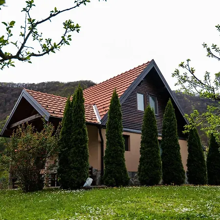 Holiday home Dedin Drinski Dom Bajina Basta