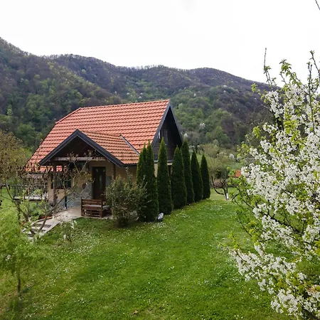 Holiday home Dedin Drinski Dom