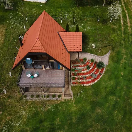 Holiday home Dedin Drinski Dom *