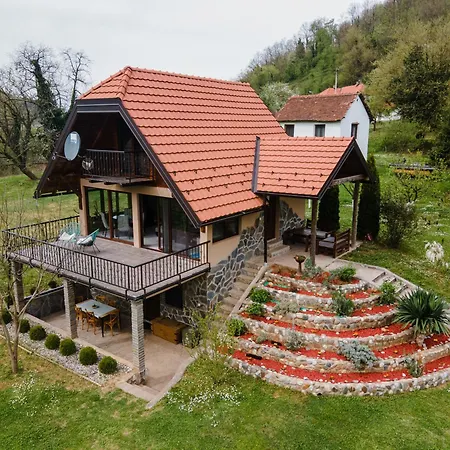 Holiday home Dedin Drinski Dom *